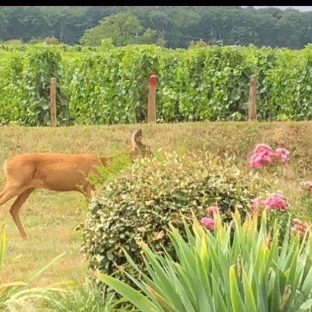 Avre De Paix Sancerrois Daire Thauvenay Dış mekan fotoğraf